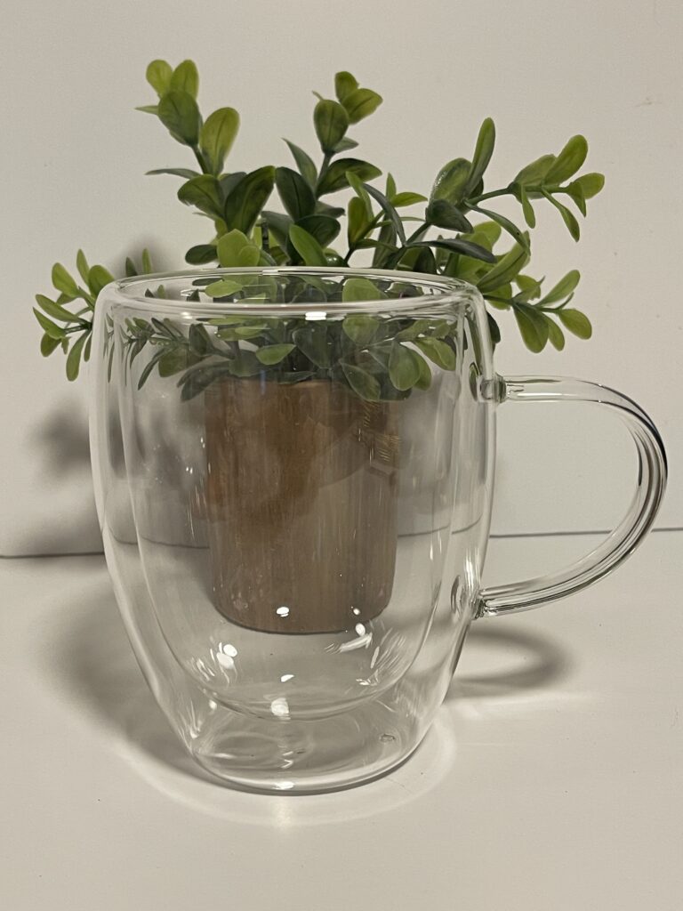Double Wall Glass Mug Cup