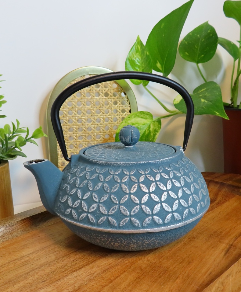 Sip Society Japanese Cast Iron Teapot